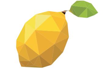 Lemon Web Design Portfolio