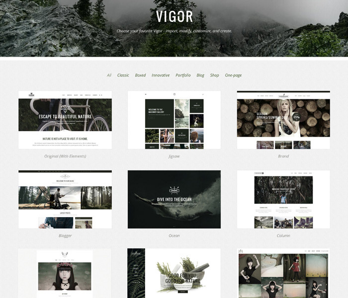 레몬웹디자인 Parallax Style Vigor