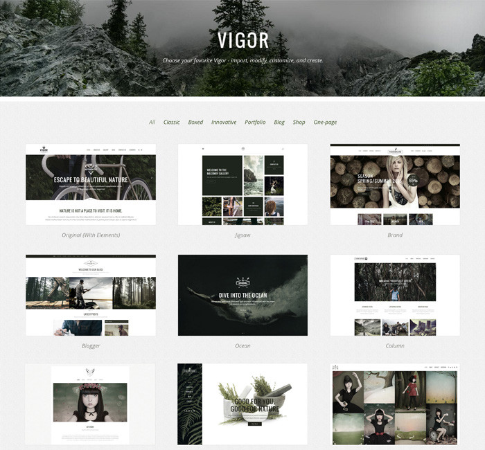 레몬웹디자인 Parallax Style Vigor