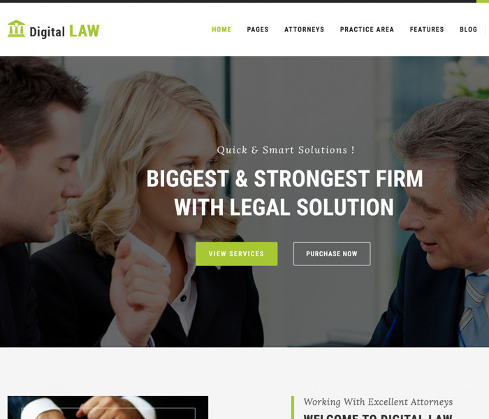 레몬웹디자인 Law